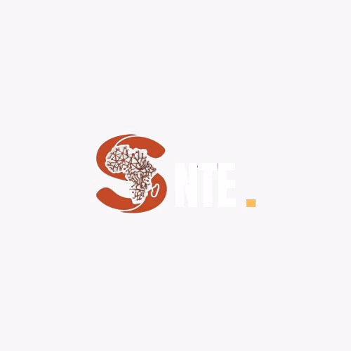 SNTE.africa